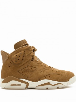 Nike Retro Men's Air Jordan 6 Brown | NBPUHRL-39