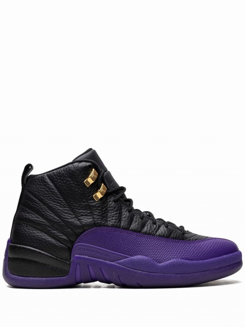 Nike Field Men\'s Air Jordan 12 Black / Purple | FDYIWAN-26