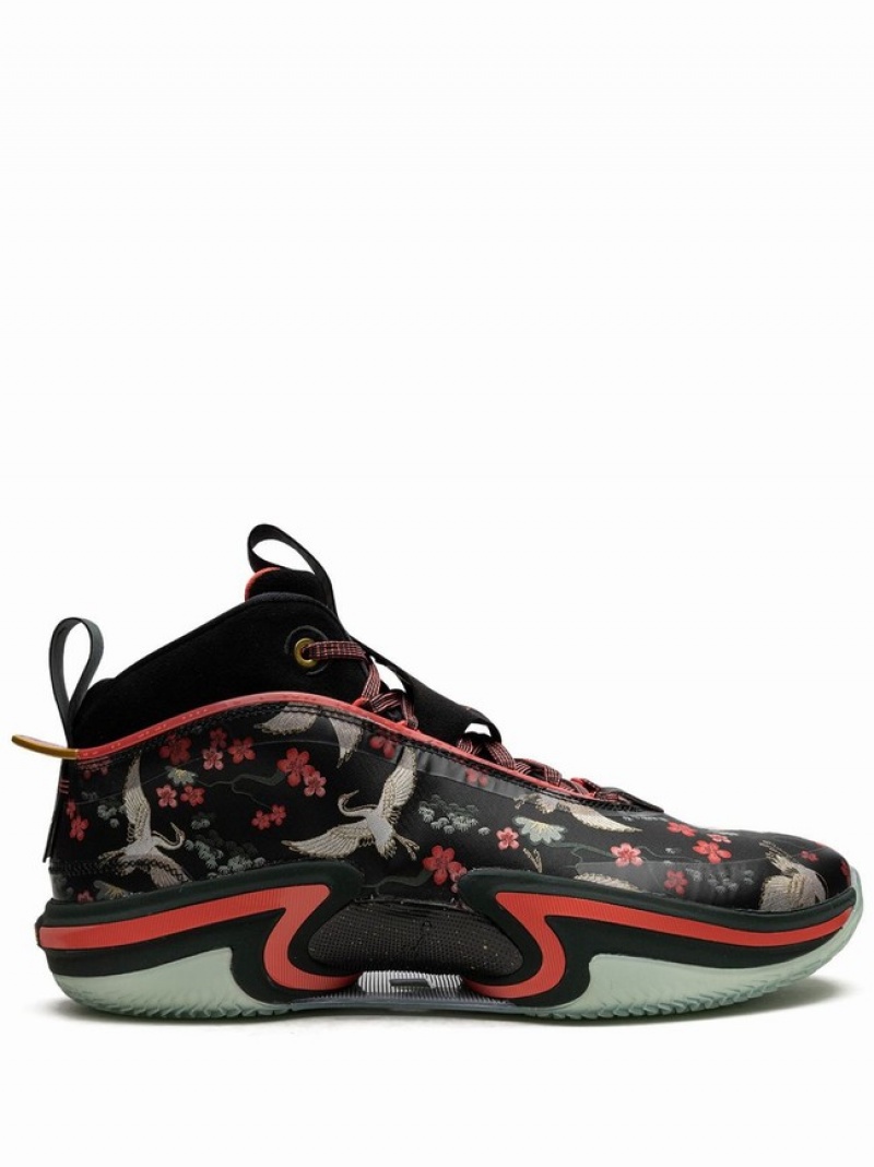 Nike PF Rui Hachimura Sakura Men\'s Air Jordan 36 Multicolor | ACZXLET-35